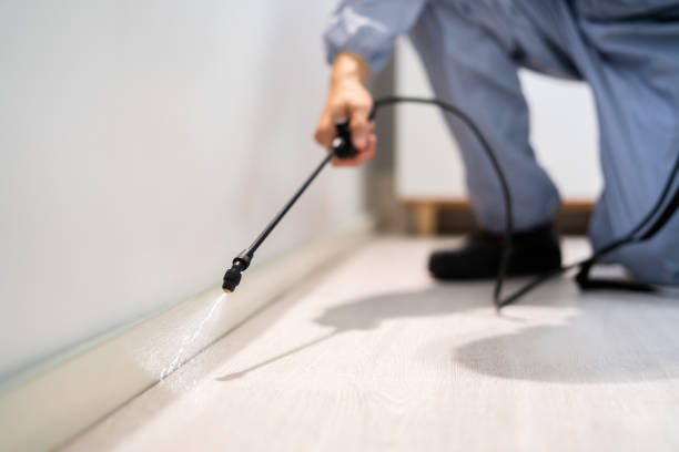 Licensed Fumigation Services service in Blaine County County, ID - Nex Pest Control